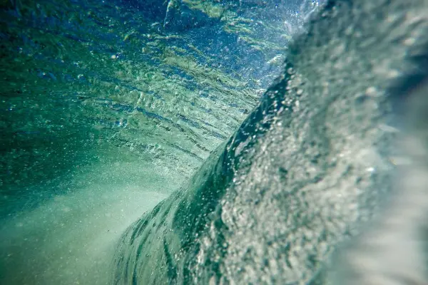 Taylor Lopez's cover